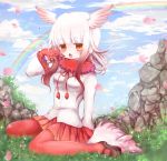  1girl aya-0w0 bangs bird_tail black_shoes blue_sky blunt_bangs blush breasts clouds crested_ibis_(kemono_friends) eyebrows_visible_through_hair frilled_sleeves frills full_body gloves grass head_wings kemono_friends long_sleeves looking_at_viewer medium_breasts medium_hair miniskirt multicolored_hair music musical_note open_mouth outdoors pantyhose petals pleated_skirt rainbow red_gloves red_legwear red_skirt rock shirt shoes silver_hair singing sitting skirt sky solo two-tone_hair wariza white_shirt yellow_eyes 