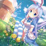  1girl alice_(wonderland) alice_(wonderland)_(cosplay) alice_in_wonderland animal_ears apron bangs blue_bow blue_bowtie blue_dress blue_eyes blue_hair blue_shoes blue_sky blurry blush bow bowtie breasts butterfly cherry_blossoms closed_mouth clouds collar cosplay dandelion day depth_of_field dress dutch_angle eyebrows_visible_through_hair fake_animal_ears flower frilled_dress frills full_body gochuumon_wa_usagi_desu_ka? grass hair_between_eyes hairband hand_on_own_cheek highres kafuu_chino long_hair looking_at_viewer mary_janes mokachino outdoors petals puffy_short_sleeves puffy_sleeves rabbit_ears shoes short_sleeves sidelocks signature sky small_breasts smile solo squatting striped striped_bow striped_bowtie striped_legwear thigh-highs tree upskirt white_apron windmill 