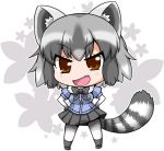  &gt;:d 1girl :d animal_ears blue_shirt blush bodystocking brown_eyes chibi collar eyebrows_visible_through_hair eyelashes fang floral_background full_body fur_collar gradient_hair grey_hair grey_legwear grey_ribbon grey_skirt hands_on_hips kemono_friends kneehighs looking_at_viewer multicolored_hair neck_ribbon noai_nioshi open_mouth outline pleated_skirt pocket puffy_short_sleeves puffy_sleeves raccoon_(kemono_friends) raccoon_ears raccoon_tail ribbon shirt short_hair short_sleeves skirt smile socks solo standing striped_tail tail tsurime two-tone_hair white_background white_hair white_outline 