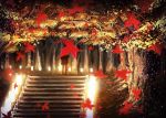  autumn_leaves black_coat blurry commentary_request depth_of_field falling_leaves forest lantern leaf light light_particles maple_leaf maple_tree motion_blur nature original scenery stairs standing tree zennmai_siki 