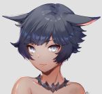  1girl :e animal_ears bare_shoulders black_hair blue_eyes cat_ears closed_mouth collar collarbone dark_skin ears_down face final_fantasy final_fantasy_xiv grey_background looking_at_viewer miqo&#039;te naguri pink_lips portrait signature simple_background solo upper_body 