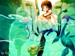  barefoot blue_eyes bottle breasts brown_hair cleavage feet nature plants short_hair wallpaper water 