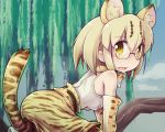  1girl animal_ears animal_print bare_shoulders blonde_hair blue_sky elbow_gloves glasses gloves kemono_friends looking_at_viewer margay_(kemono_friends) margay_ears margay_print margay_tail open_mouth outdoors shirt short_hair skirt sky sleeveless sleeveless_shirt solo tail tree white_shirt yellow_eyes yoshi_(crossmind) 