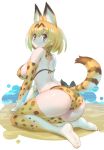  1girl animal_ears ass bikini blush breasts cat_ears cat_tail elbow_gloves gloves highres kemono_friends large_breasts sakurai_shizuku_(mimipull) serval_(kemono_friends) serval_ears serval_print serval_tail short_hair simple_background sitting smile solo swimsuit tail thigh-highs wariza 