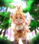  1girl absurdres all_fours animal_ears animal_print bare_shoulders blonde_hair bow cat_ears cat_tail dani_(kamenoaru) elbow_gloves forest gloves highres kemono_friends looking_at_viewer nature open_mouth outdoors outstretched_hand serval_(kemono_friends) serval_ears serval_print serval_tail shirt short_hair skirt sleeveless sleeveless_shirt solo tail thigh-highs white_shirt yellow_eyes zettai_ryouiki 