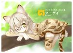 1girl ;) commentary_request glasses green_eyes kemono_friends looking_at_viewer lying margay_(kemono_friends) margay_ears margay_print margay_tail mimi_(mimi_puru) on_stomach one_eye_closed short_hair silver_hair smile solo thigh-highs translation_request tree_branch zettai_ryouiki 