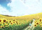  child clouds cloudy_sky field flower flower_field highres kun52 original path road sky sunflower tree 