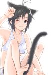  1girl absurdres animal_ears antenna_hair armpits artist_name bare_shoulders barefoot between_legs black_hair breasts cat_ears cat_tail cleavage collarbone halter_top halterneck hand_up highres idolmaster juusan_(pixiv) kemonomimi_mode kikuchi_makoto looking_at_viewer one_eye_closed paw_pose short_hair shorts signature sitting solo tail tail_between_legs violet_eyes 