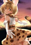  1girl absurdres animal_ears brown_eyes brown_hair cat_ears cat_tail elbow_gloves gloves go-1 highres kemono_friends looking_at_viewer outstretched_arms serval_(kemono_friends) serval_ears serval_print serval_tail short_hair solo spread_arms tail twilight 