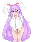  1girl animal_ears bangs blush breasts cowboy_shot dress_shirt gluteal_fold hair_between_eyes large_breasts leaning_forward long_hair long_sleeves looking_at_viewer no_pants panties purple_hair rabbit_ears red_eyes reisen_udongein_inaba shirt sidelocks smile solo sprout_(33510539) swept_bangs touhou underwear very_long_hair white_panties white_shirt 