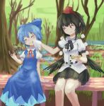  2girls :t bare_tree bench black_hair black_ribbon black_skirt black_wings blue_bow blue_dress blue_hair blurry bow cirno closed_eyes collared_shirt commentary_request depth_of_field doughnut dress eating food grass hair_bow hat highres ice ice_wings juliet_sleeves long_sleeves looking_at_another low_wings multiple_girls napkin neck_ribbon pom_pom_(clothes) puffy_sleeves red_eyes red_hat red_ribbon ribbon roke_(taikodon) shameimaru_aya shirt short_hair short_sleeves sitting skirt sleeveless sleeveless_dress smile swamp tokin_hat touhou tree water wings wiping_face 