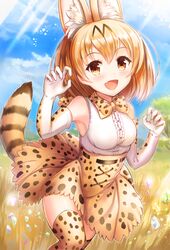  1girl :d animal_ears bangs blonde_hair blue_sky blush breasts brown_eyes brown_gloves brown_skirt cat_ears cat_tail clouds cloudy_sky commentary elbow_gloves eyebrows_visible_through_hair fang frilled_blouse gloves hair_between_eyes hands_up high-waist_skirt kemono_friends looking_at_viewer medium_breasts open_mouth outdoors paw_pose sakura_ani savannah serval_(kemono_friends) serval_ears serval_print serval_tail short_hair skirt sky sleeveless smile solo tail thigh-highs white_gloves 