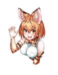  1girl :d animal_ears blonde_hair breasts cat_ears elbow_gloves eyebrows_visible_through_hair fang gloves highres kemono_friends looking_at_viewer medium_breasts miyanagi open_mouth print_gloves serval_(kemono_friends) serval_ears serval_print short_hair simple_background smile solo upper_body white_background white_gloves yellow_eyes 