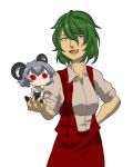  2girls absurdres animal_ears batzip blush cookie_(touhou) green_hair grey_hair hair highres kazami_yuuka looking_at_viewer mouse_ears mouse_tail multiple_girls nazrin nyon_(cookie) open_mouth red_eyes short tail touhou 