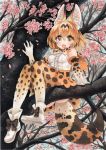  1girl animal_ears ankle_boots arm_support blonde_hair boots bow bowtie cat_ears cat_tail cherry_blossoms dated fang from_below in_tree kemono_friends looking_at_viewer looking_down mosho orange_eyes serval_(kemono_friends) short_hair signature sitting sitting_in_tree skirt smile solo tail traditional_media tree tree_branch watercolor_(medium) waving 