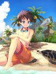  1boy beach blue_eyes blue_sky brown_hair closed_mouth clouds cloudy_sky day goggles goggles_around_neck hand_on_own_knee knee_up looking_at_another male_focus maruhana original outdoors palm_tree shorts sitting sky smile solo tree turtle water 