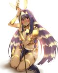  1girl animal_ears dark_skin egyptian facial_mark fate/grand_order fate_(series) high_heels jewelry kneeling long_hair multicolored_hair nitocris_(fate/grand_order) smile solo staff tan tokiwa_mmm two-tone_hair violet_eyes 