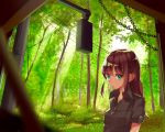  1girl bangs black_shirt blurry breasts brown_hair closed_mouth collared_shirt day depth_of_field eyebrows_visible_through_hair forest green_eyes hami_yura long_hair looking_at_viewer nature original outdoors shirt short_sleeves sidelocks small_breasts solo 