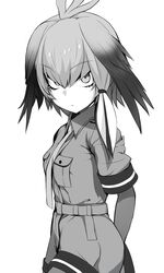  1girl belt bird_wings black_hair breasts collared_shirt eyebrows_visible_through_hair fingerless_gloves gloves head_wings highres kemono_friends long_hair looking_at_viewer low_ponytail monochrome multicolored_hair necktie shimeji_nameko shirt shoebill_(kemono_friends) short_sleeves side_ponytail solo two-tone_hair wings 