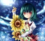  bad_id fireflies flower full_moon green_hair kazami_yuuka kohinata_raichi moon petals plaid_vest red_eyes short_hair sunflower touhou 