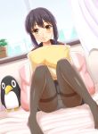  1girl bangs bedroom black_hair black_legwear black_skirt brown_eyes closed_mouth curtains dutch_angle eyebrows_visible_through_hair failure_penguin fubuki_(kantai_collection) hair_ornament hairclip indoors kantai_collection knees_up legs_apart looking_at_viewer on_bed ookawa_wataru panties panties_under_pantyhose pantyhose pantyshot pantyshot_(sitting) pillow pillow_hug plant potted_plant school_uniform serafuku sitting skirt smile solo thighband_pantyhose thighs underwear white_panties window 