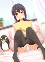  1girl bangs bedroom black_hair black_legwear black_skirt brown_eyes closed_mouth curtains dutch_angle eyebrows_visible_through_hair failure_penguin fubuki_(kantai_collection) hair_ornament hairclip indoors kantai_collection knees_up legs_apart looking_at_viewer on_bed ookawa_wataru panties pantyshot pantyshot_(sitting) pillow pillow_hug plant potted_plant school_uniform serafuku sitting skirt smile solo thigh-highs thighs underwear white_panties window 