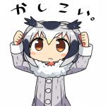  1girl arms_up blush_stickers clenched_hands kanikama kemono_friends light_frown lowres northern_white-faced_owl_(kemono_friends) simple_background solo translation_request white_background 
