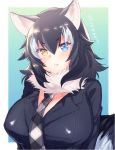  &gt;:( 1girl alternate_breast_size animal_ears batten_(yukibara_7) black_hair blue_background blue_eyes blush border breasts character_name cleavage collar eyebrows eyebrows_visible_through_hair eyelashes fang fang_out fur_collar grey_wolf_(kemono_friends) hair_between_eyes heterochromia huge_breasts kemono_friends lips long_hair long_sleeves looking_at_viewer multicolored_hair necktie outside_border plaid plaid_necktie silver_hair simple_background solo tail tsurime two-tone_hair upper_body white_border white_hair wolf_ears wolf_tail yellow_eyes 