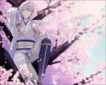  1boy absurdres blurry cherry_blossoms depth_of_field highres hood in_tree japanese_clothes male_focus petals pom_pom_(clothes) smile touken_ranbu tree tsurumaru_kuninaga white_hair yamada_chickenko yellow_eyes 