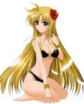  1girl barefoot bikini black_bikini blonde_hair bracelet breasts brown_eyes cleavage collarbone eyebrows_visible_through_hair fate_testarossa flower full_body groin hair_flower hair_ornament hair_twirling highres jewelry kneeling large_breasts long_hair lyrical_nanoha mahou_shoujo_lyrical_nanoha_strikers necklace o-ring_bikini red_flower smile solo swimsuit transparent_background under_boob very_long_hair white_feathers 