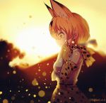  1girl animal_ears cat_ears cat_tail from_side hand_on_own_face kemono_friends open_mouth outdoors sad serval_(kemono_friends) serval_ears serval_print serval_tail solo spoilers standing sunset tail tears wide-eyed yaoshi_jun yellow_eyes 