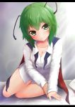  1girl absurdres antennae arm_support bare_legs biburu blush breasts cape cleavage collarbone come_hither dress_shirt gradient gradient_background green_eyes green_hair head_tilt highres letterboxed light_smile long_sleeves looking_at_viewer naughty_face on_bed pillow shirt short_hair sitting small_breasts solo touhou wriggle_nightbug yokozuwari 