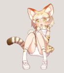  1girl :o animal_ears bare_shoulders blonde_hair blush bow bowtie breast_pocket cat_ears cat_tail clenched_hands commentary dot_nose elbow_gloves eyebrows_visible_through_hair fangs full_body gloves gradient_hair grey_background hands_on_own_knees kemono_friends kneehighs looking_up multicolored_hair nose_blush open_mouth petticoat pocket ribbon sand_cat_(kemono_friends) sanpaku shirt shoe_ribbon shoes simple_background sitting skirt sleeveless sleeveless_shirt socks solo streaked_hair striped_tail tail tareme teeth upper_teeth white_footwear white_hair white_ribbon white_shirt white_shoes yarerubabaa yellow_eyes 