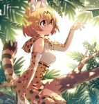  1girl animal_ears bare_shoulders blush bow bowtie breasts cat_ears cat_tail commentary cross-laced_clothes dappled_sunlight elbow_gloves eyebrows_visible_through_hair forest from_side gloves hair_between_eyes hand_up hijiri_(resetter) in_tree japari_symbol kemono_friends leaf looking_away medium_breasts nature orange_hair outdoors paper_airplane serval_(kemono_friends) serval_ears serval_print serval_tail shirt short_hair sitting sitting_in_tree skirt sleeveless sleeveless_shirt smile solo striped_tail sunlight tail tareme tree white_shirt 