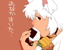  1girl animal_ear_fluff animal_ears black_eyes brown_background commentary_request eating food holding_bento inubashiri_momiji looking_at_viewer looking_to_the_side omelet onigiri onikobe_rin open_mouth short_hair simple_background solo tamagoyaki touhou translation_request upper_body white_hair wolf_ears wolf_girl 