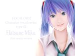  aqua_hair blue_eyes blue_hair engrish hatsune_miku klemme ranguage realistic smile twintails vocaloid 