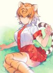  1girl :3 animal_ears animal_print breasts cat_ears cat_tail claw_pose collar collared_shirt gradient_hair grass hand_up heiwa_(murasiho) kemono_friends legs_together looking_at_viewer multicolored_hair necktie orange_eyes orange_hair outdoors plaid plaid_necktie plaid_skirt red_skirt shirt short_hair shorts sitting skirt solo streaked_hair striped striped_legwear striped_tail tail thigh-highs tiger_(kemono_friends) tiger_ears tiger_print tiger_tail tsurime white_hair white_shirt 