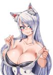  1girl animal_ears blue_eyes blush breasts cleavage collarbone dungeon_and_fighter highres large_breasts long_hair looking_at_viewer silver_hair simple_background smh1069 smile solo white_background 