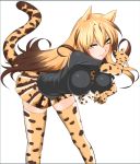  1girl adon_(adtech) animal_ears blonde_hair brown_hair cat_ears cat_tail cheetah_ears cheetah_tail highres kemono_friends king_cheetah_(kemono_friends) long_hair multicolored_hair necktie simple_background tail thigh-highs two-tone_hair white_background yellow_eyes 