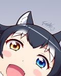  1girl animal_ears black_hair blush_stickers close-up fang fur_collar grey_wolf_(kemono_friends) heterochromia kemono_friends langbazi long_hair looking_at_viewer multicolored_hair open_mouth simple_background solo two-tone_hair wolf_ears 