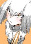  1girl bangs bird_wings bodystocking breast_pocket breasts closed_mouth collared_shirt eyebrows_visible_through_hair eyelashes feathers frown hair_between_eyes head_wings kemono_friends necktie orange_background pantyhose pocket shirt shoebill_(kemono_friends) short_sleeves shorts silver_hair silver_necktie silver_shirt silver_shorts simple_background solo tsurime wings yellow_eyes 