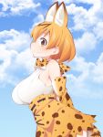  1girl animal_ears bare_shoulders breasts brown_hair clouds highres kemono_friends large_breasts looking_at_viewer serval_(kemono_friends) serval_ears serval_print serval_tail short_hair sideboob sky smile solo tail ushi 