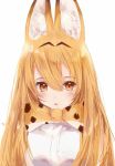  1girl :o alternate_hair_length alternate_hairstyle animal_ears bangs bow bowtie breasts brown_eyes hair_between_eyes kemono_friends light_brown_hair long_hair looking_at_viewer open_mouth serval_(kemono_friends) serval_ears serval_print simple_background solo tr_(kangtw123) upper_body white_background 