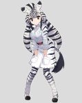  animal_ears belt black_eyes breasts cibo_(killy) commentary_request girl grey_background hands_in_pockets highres kemono_friends large_breasts looking_at_viewer serval_ears serval_print serval_tail simple_background sleeves_rolled_up solo standing tail zebra zebra_(kemono_friends) 