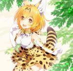  1girl :d animal_ears arm_at_side armpits bare_shoulders belt bow bowtie breasts brown_belt clenched_hands cross-laced_clothes elbow_gloves eyebrows_visible_through_hair eyelashes gloves hair_between_eyes hand_up kemono_friends light_brown_eyes looking_at_viewer medium_breasts open_mouth orange_hair outdoors paw_pose peco19peco plant revision sandstar serval_(kemono_friends) serval_ears serval_print serval_tail shiny shiny_hair shirt short_hair skirt sleeveless sleeveless_shirt smile solo striped_tail tail tareme teeth thigh-highs white_shirt wind zettai_ryouiki 