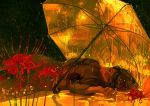  1girl commentary_request flower_request gemi looking_at_viewer lying on_back original red_flower solo surreal transparent_umbrella umbrella 