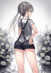  1girl back grey_hair hand_on_hip highres long_hair original shorts solo suspenders twintails window1228 