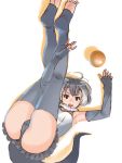 1girl arm_warmers armpits ass ball brown_eyes fingerless_gloves fluffy_collar grey_hair grey_legwear hettsuaa highres kemono_friends legs_up looking_at_viewer lying multicolored_hair on_back otter_ears otter_tail panties simple_background small-clawed_otter_(kemono_friends) tail toeless_legwear two-tone_hair underwear white_background