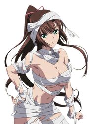  1girl bandage breasts brown_hair cleavage cowboy_shot floating_hair green_eyes groin hair_ribbon hand_on_hip high_ponytail kirasaka_sayaka large_breasts leaning_forward long_hair looking_at_viewer midriff naked_bandage navel pink_ribbon ribbon shiny shiny_skin solo standing stomach strike_the_blood transparent_background under_boob very_long_hair 