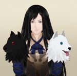  1girl armor black_hair blue_eyes castlevania castlevania:_order_of_ecclesia dress hand_puppet long_hair puppet shanoa solo very_long_hair 